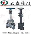 DZ41W低温闸阀